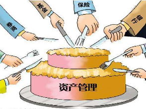 上海資產(chǎn)管理公司的經(jīng)營范圍詳解